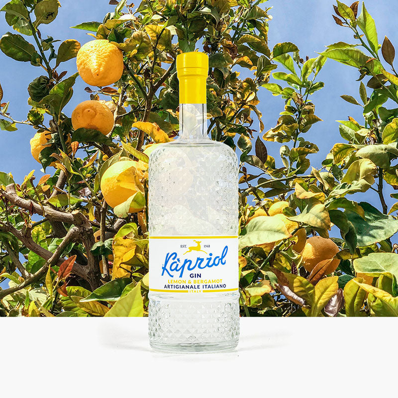 Kapriol gin lemon